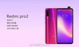 红米50最新爆料图片,高清实拍图曝光，性能与设计大揭秘！